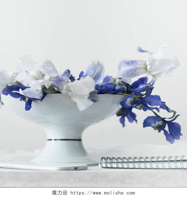 简约艺术感蓝色花卉图片